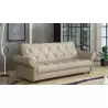 Sofa - lova DB20871